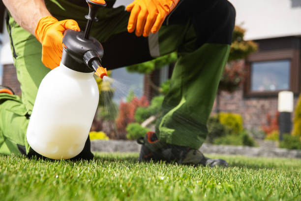 Best Commercial Pest Control Services  in Malta, IL