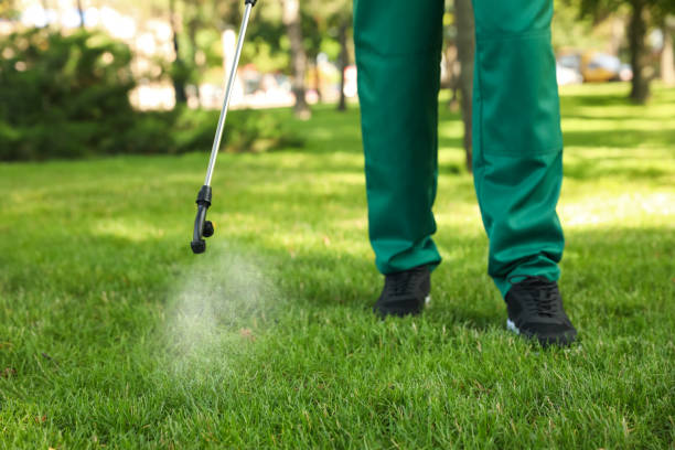 Best Rat Extermination Near Me  in Malta, IL