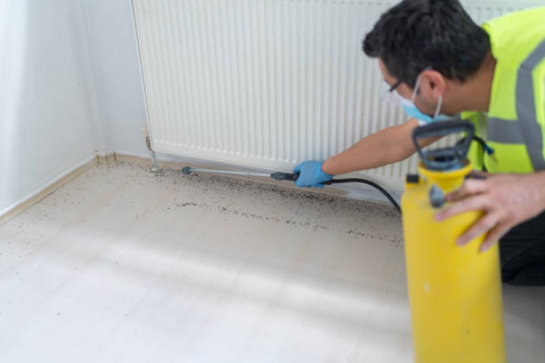 Best Local Pest Control Services  in Malta, IL